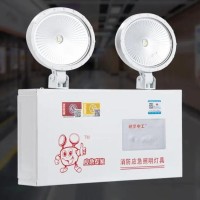 消防应急照明灯安全出口充电式为二合一应急灯商用LED特种指示牌